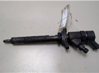  Форсунка топливная Citroen Xsara-Picasso 20374639 #1