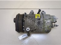 1796856, 1745000, 3M5H19D629DK, RM3M5H19D629DJ Компрессор кондиционера Ford Focus 2 2008-2011 20375013 #1