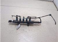 1570P1 Рампа (рейка) топливная Citroen Jumper (Relay) 2006-2014 20375661 #4