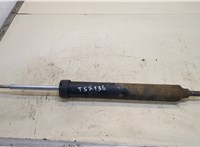  Амортизатор подвески BMW 3 E90, E91, E92, E93 2005-2012 20375980 #1