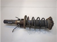  Амортизатор подвески Skoda Fabia 1999-2007 20376419 #1