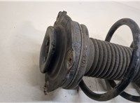  Амортизатор подвески Nissan Juke 2010-2019 20376430 #2