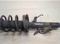  Амортизатор подвески Ford Kuga 2008-2012 20376638 #1