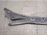 1M51A02217AB Жабо под дворники (дождевик) Ford Focus 1 1998-2004 20377924 #1