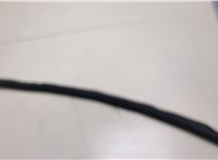 42469793 Молдинг стекла (боковое) Chevrolet Bolt 2016- 20378022 #1