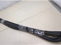 42438246 Молдинг стекла (боковое) Chevrolet Bolt 2016- 20378024 #4