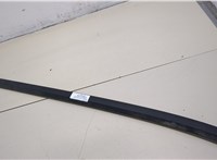42469793 Молдинг стекла (боковое) Chevrolet Bolt 2016- 20378025 #1