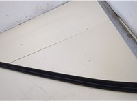 42469793 Молдинг стекла (боковое) Chevrolet Bolt 2016- 20378025 #3
