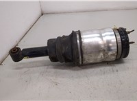 Амортизатор подвески Land Rover Range Rover Sport 2005-2013 20379503 #1