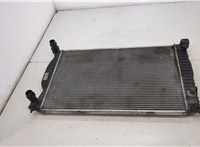  Радиатор охлаждения двигателя Audi A4 (B6) 2000-2006 20379933 #1