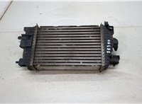  Радиатор интеркулера Opel Meriva 2010- 20379957 #2