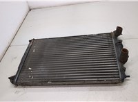  Радиатор охлаждения двигателя Renault Megane 1996-2002 20380163 #1