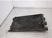  Радиатор охлаждения двигателя Renault Megane 1996-2002 20380163 #2