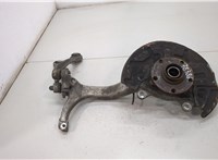  Ступица (кулак, цапфа) Audi A4 (B6) 2000-2006 20382119 #1