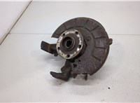  Ступица (кулак, цапфа) Audi A3 (8P) 2003-2013 20382149 #1