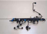  Рампа (рейка) топливная Volkswagen Passat 6 2005-2010 20382400 #1