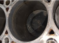  Блок цилиндров (Шорт блок) Volkswagen Passat 6 2005-2010 20382401 #9