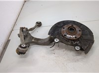  Ступица (кулак, цапфа) Audi A4 (B7) 2004-2009 20382509 #1