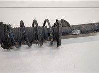  Амортизатор подвески Skoda Octavia (A5) 2004-2013 20382578 #1