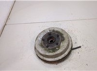  Ступица (кулак, цапфа) Toyota RAV 4 1994-2000 20382708 #1