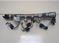  Рампа (рейка) топливная Skoda Octavia (A7) 2013-2023 20382909 #1