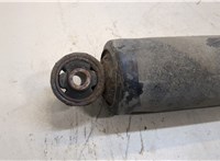 25995943 Амортизатор подвески Chevrolet Captiva 2006-2011 20382955 #3