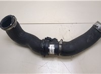  Патрубок интеркулера Volkswagen Transporter 5 2003-2009 20382959 #1