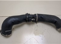  Патрубок интеркулера Volkswagen Transporter 5 2003-2009 20382959 #2
