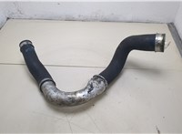  Патрубок интеркулера Volkswagen Transporter 5 2003-2009 20382962 #1