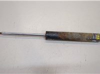  Амортизатор подвески Opel Omega B 1994-2003 20383026 #1