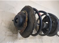  Амортизатор подвески Nissan Murano 2002-2008 20383075 #3