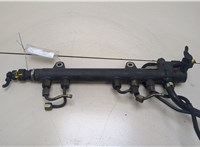 93192593 Рампа (рейка) топливная Opel Combo 2001-2011 20383147 #1