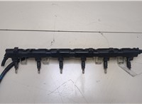 13537531634, 13537542541 Форсунка топливная BMW 6 E63 2004-2007 20383250 #1