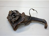 400145X00C, 402024X01A Ступица (кулак, цапфа) Nissan Pathfinder 2004-2014 20383733 #1