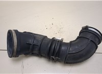  Патрубок корпуса воздушного фильтра Renault Megane 1996-2002 20383822 #1