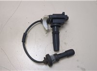  Катушка зажигания Hyundai Santa Fe 2000-2005 20383870 #1