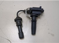 Катушка зажигания Hyundai Santa Fe 2000-2005 20383874 #1