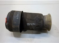 37126790079, 6790079 Пневмоподушка BMW X5 E70 2007-2013 20384080 #1