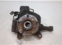  Ступица (кулак, цапфа) Nissan Elgrand 2002-2010 20384142 #1