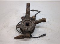  Ступица (кулак, цапфа) Renault Megane 1996-2002 20384161 #2
