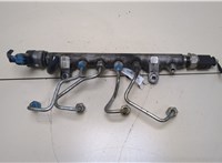 Рампа (рейка) топливная Volkswagen Passat 6 2005-2010 20384394 #1