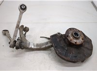  Ступица (кулак, цапфа) Audi A4 (B7) 2004-2009 20384670 #1