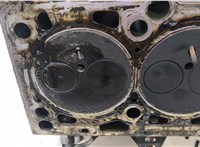  Головка блока (ГБЦ) Volkswagen Transporter 5 2003-2009 20384765 #4