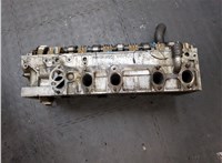  Головка блока (ГБЦ) Volkswagen Transporter 5 2003-2015 20384765 #12