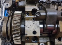  Головка блока (ГБЦ) Volkswagen Transporter 5 2003-2009 20384765 #8