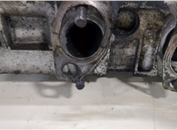  Головка блока (ГБЦ) Volkswagen Transporter 5 2003-2009 20384765 #11