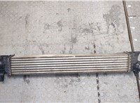 53144431, DF630001 Радиатор интеркулера Peugeot Boxer 2014- 20384789 #1