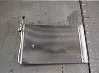  Радиатор кондиционера BMW 5 E60 2003-2010 20385040 #1
