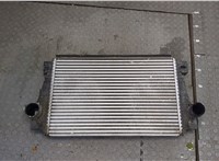  Радиатор интеркулера Volkswagen Amarok 2010-2025 20385061 #1