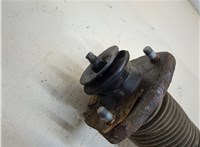  Амортизатор подвески BMW X5 E53 2000-2007 20385672 #4